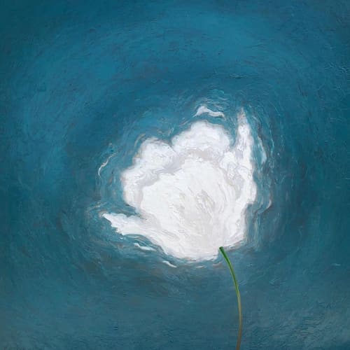 SUMMER TULIP