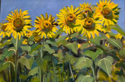 SUNFLOWERS 3 