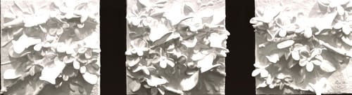 MIGRATION 1-4