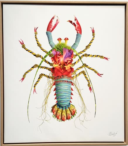 CRUSTACEAN SERIES 1 & 2