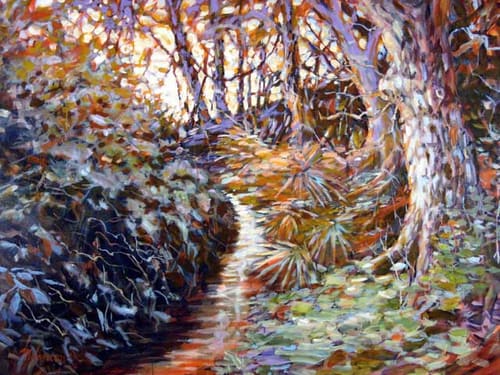 TREE LINED CREEK
