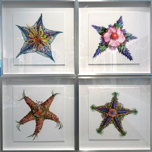 STARFISH QUAD