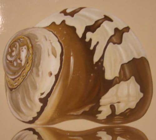 NAUTILUS SERIES