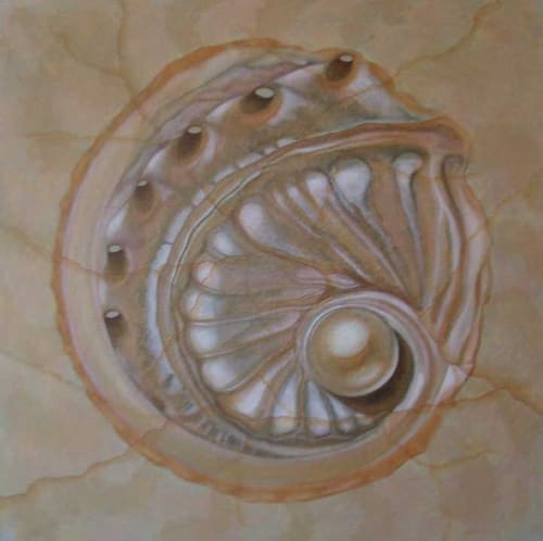 NAUTILUS SERIES