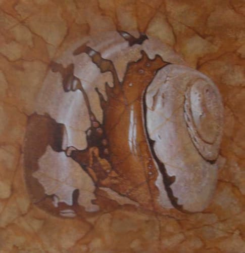 NAUTILUS SERIES
