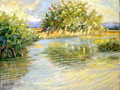 EVERGLADES REFLECTIONS