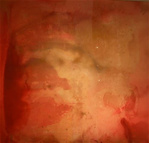 TOPOGRAPHICAL RED