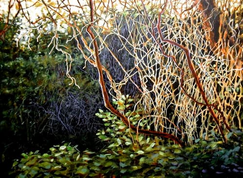 BRAMBLES