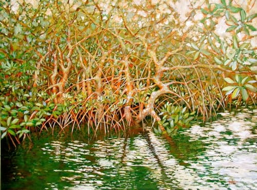 MANGROVES