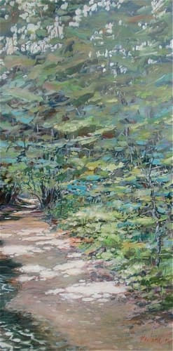 BUTLER'S CREEK 4